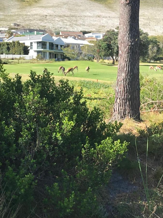 Francolin Manor Bed & Breakfast Hermanus Exterior foto